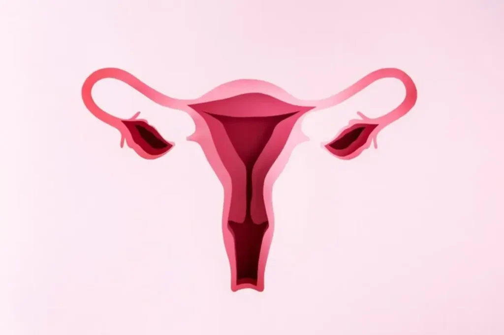 Hysterolaparoscopy in Infertility Treatment