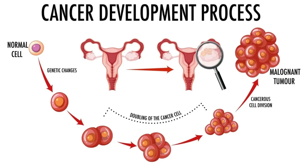 Best Lady Gynecologist In Kolkata