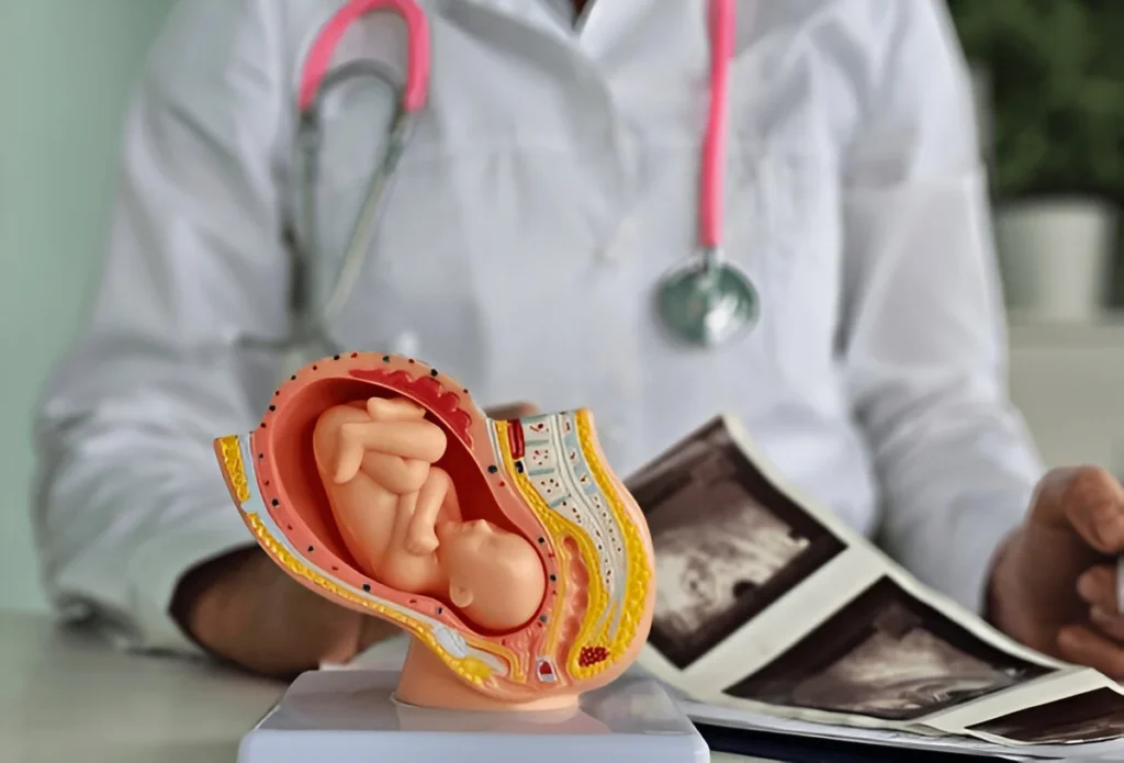Best Lady Gynecologist In Kolkata